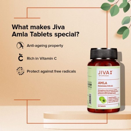 Amla, Jiva Ayurveda, 120 tablets