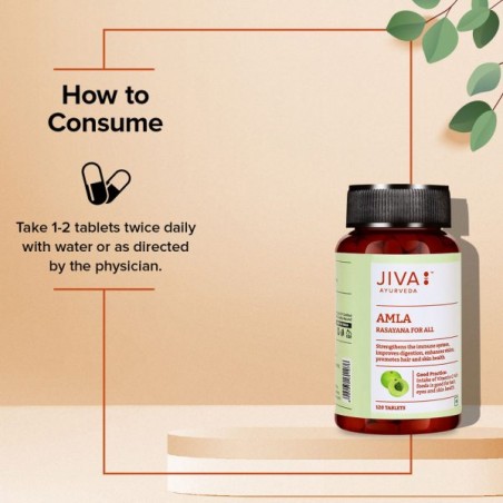 Amla, Jiva Ayurveda, 120 tablets