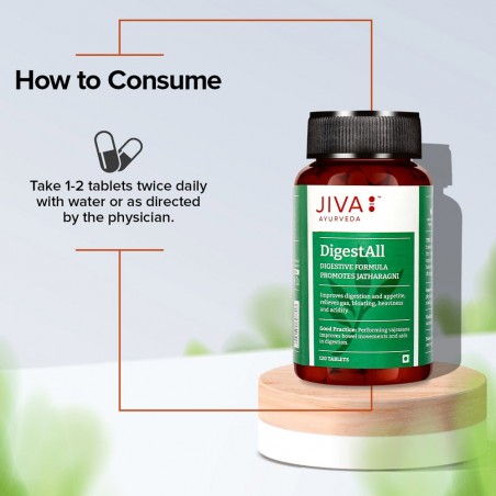 Food supplement DigestAll, Jiva Ayurveda, 120 tablets