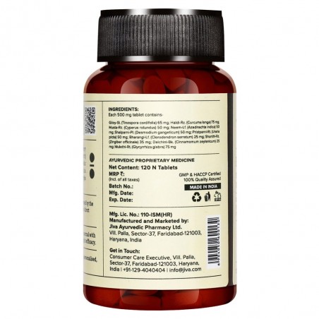 Food supplement Flucon, Jiva Ayurveda, 120 tablets