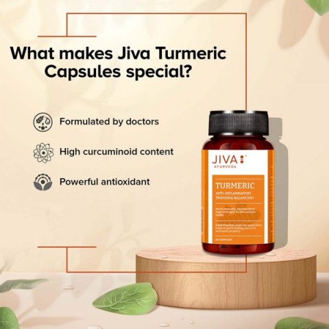 Turmeric with Amla, Jiva Ayurveda, 60 capsules