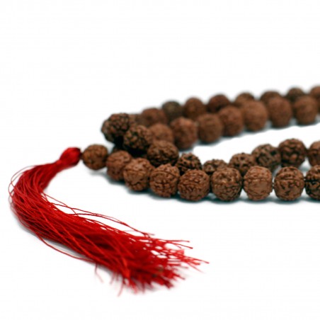 Rudraksha necklace Mala, brown, 108 beads with tassel