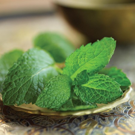 Moroccan mint tea, organic, Numi Tea, 18 packets