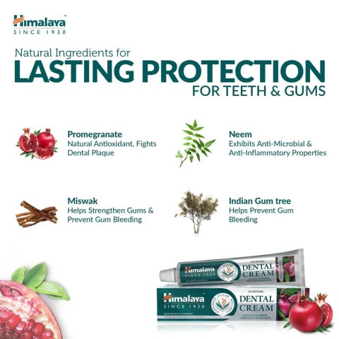 Toothpaste-cream with neem and pomegranate, Himalaya, 100g