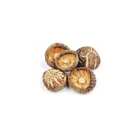 Shiitake mushroom with rhodiola, Terezia, 60 capsules