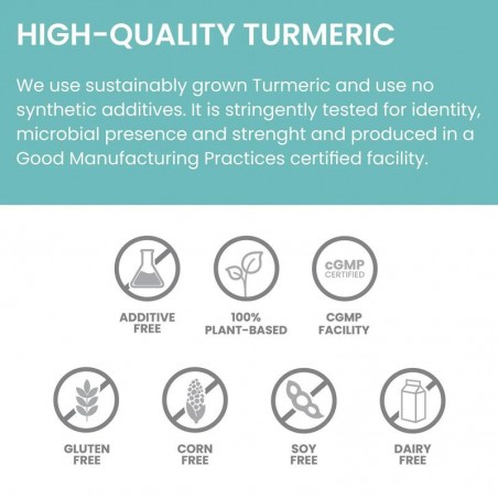 Turmeric 95 Organic, Himalaya, 60 capsules