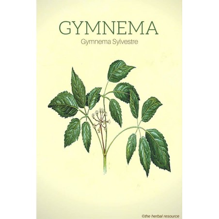 Пищевая добавка Gymnema Sylvestrae, Planet Ayurveda, 60 капсул