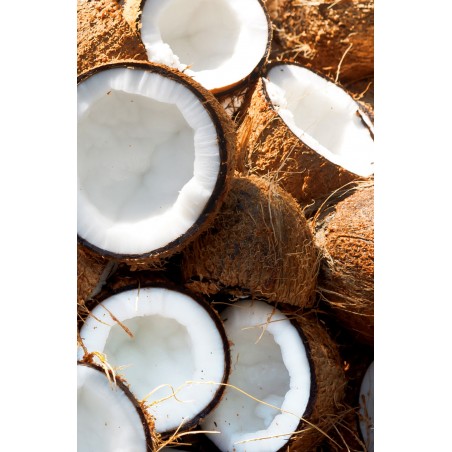 Ayurvedic elixir hair conditioner Coconut Shikakai, Khadi Naturprodukte, 200ml