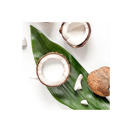 Praturtintas kokosais plaukų aliejus Coconut Enriched, Ayumi, 150 ml